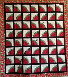 Watermelon with Ants