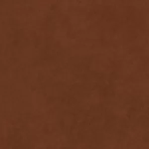 Shadow Play, Saddle Brown